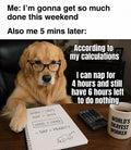Memes suitable for all kinds of social media.