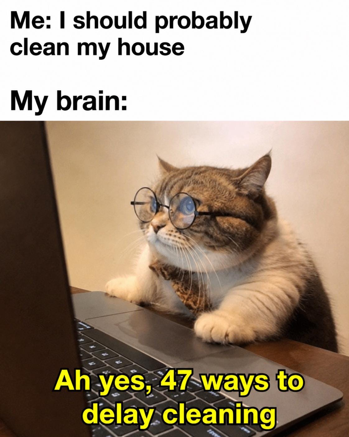 Memes suitable for all kinds of social media.